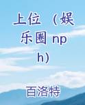 上位 （娱乐圈 nph）