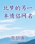 北梦的另一半情侣网名小说短剧