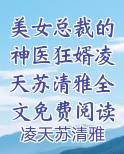 美女总裁的神医狂婿凌天苏清雅全文免费阅读在线小说