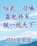 综武：召唤雷电将军，朕一统天下全文阅读
