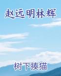 赵远明林辉