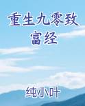 重生九零致富经