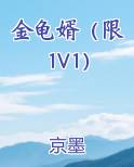 金龟婿小说1v1