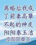 离婚后我成了前妻高攀不起的神皮阳阳秦玉洁免费阅读小说无弹窗