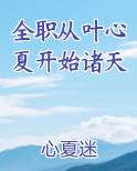 全职从叶心夏开始诸天