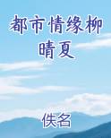 都市情缘柳晴夏
