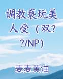 调教亵玩美人受（双??/NP）