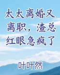 太太离婚又离职，渣总红眼急疯了