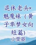 退休老头×魅魔妹（黄子华梦女向短篇）小说排行榜