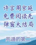 许言小说