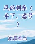 风的驯养（年下、虐男）