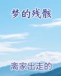 梦的残骸在线阅读