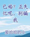 已婚？正失忆呢，别骗我