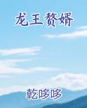 龙王赘婿