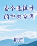 当个选择性的中央空调