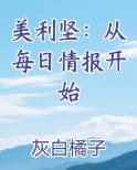 美利坚：从每日情报开始小说短剧