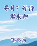 寻月？等待君未归在线阅读小说