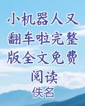 小机器人又翻车啦完整版全文免费阅读