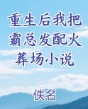 重生后我把霸总发配火葬场小说